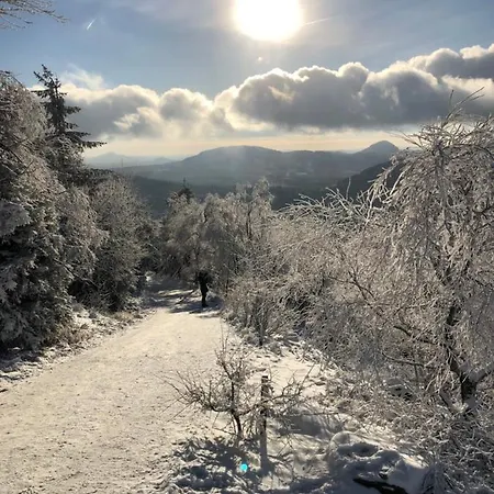 Mirror Appartement Krásná Lípa