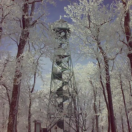 Mirror Krásná Lípa